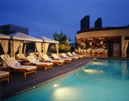 Signature Tower Pool