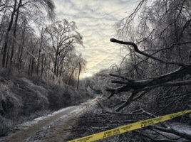 nashville ice storm damage 2026 fallen trees road tennessee tax deadline extension 2026