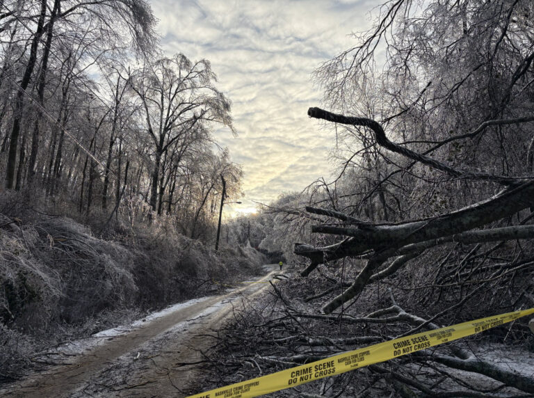 nashville ice storm damage 2026 fallen trees road tennessee tax deadline extension 2026