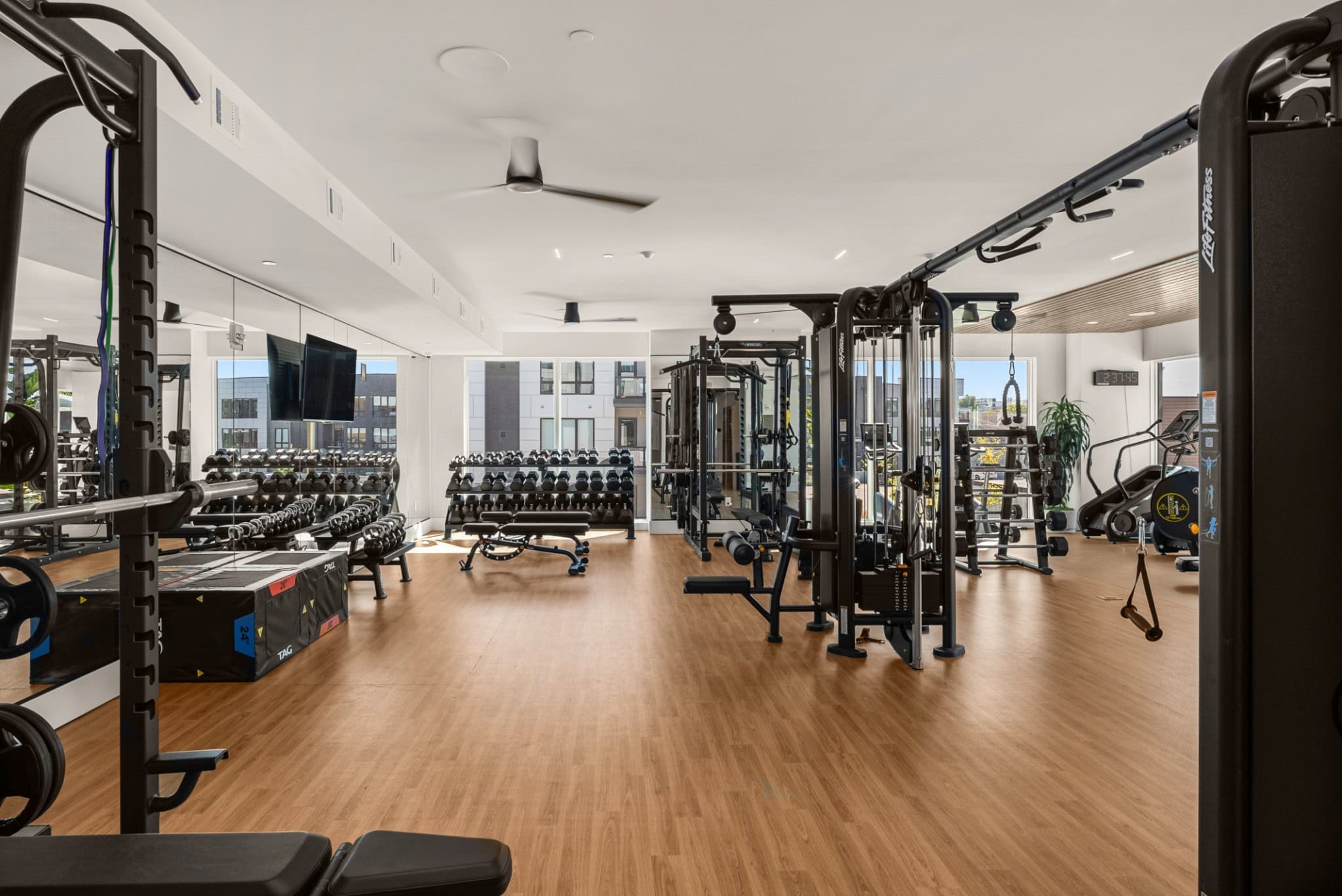 Athena at the Park fitness center with cardio, weights, and wellness programming space